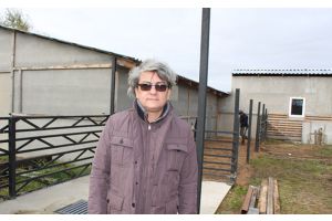 Подкова на счастье