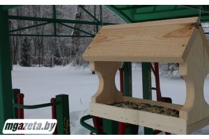 Посмотрели, чем живет старинный парк в Березинском зимой