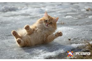 Возвращаемся с работы, следуя правилам безопасности