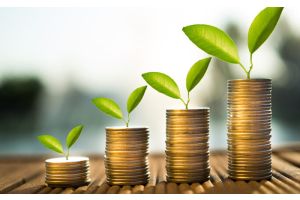 Инвестиции увеличивают капитал