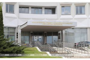 В Беларуси изменились подходы к классификации труда. Новации разъяснили в Минтруда