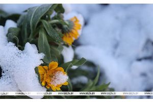 Слабый гололед и до +6°С прогнозируют синоптики на сегодня