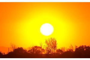 Советы специалиста. Жара жарой, а работать надо