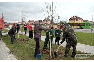 Субботник в Молодечненском районе. Порядок -- дело каждого