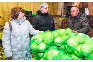 Хватает ли в Беларуси запасов отечественных овощей, проверили комитет госконтроля и профсоюзы