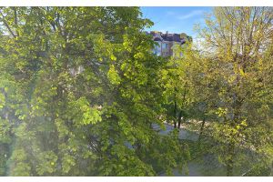 До +21°С ожидается в Беларуси 30 апреля