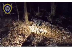 Тело беженца через калитку для животных перетащили в Беларусь со стороны Польши