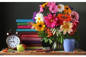 Прозрачно для профессионалов, не всегда понятно для пользователей. Как устроено школьное образование