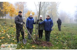 Сажайте деревья, украшайте землю! Время еще есть