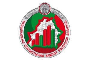 Белстат проведет кластерное обследование совместно с Евросоюзом