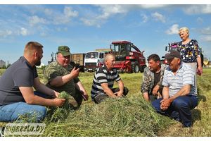 Першы ўкос найбольш важны