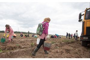 Расследование уголовного дела о гибели школьницы завершено