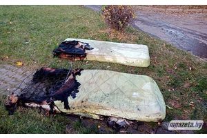 Пожарные в Молодечно спасли двоих детей