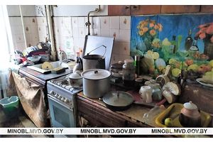 Не поделили деньги за макулатуру — 10 лет колонии получил житель Молодечно за убийство сожительницы