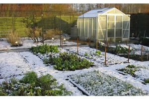 Работы на участке в начале зимы