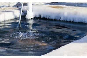 Рекомендации по купанию в проруби