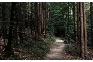В Беларуси остались места, где нельзя ходить в лес. И это несмотря на ночные заморозки