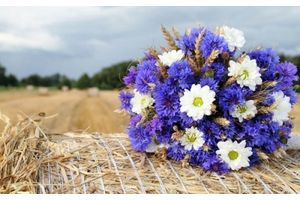 Заслужаным людзям – юбілейныя медалі