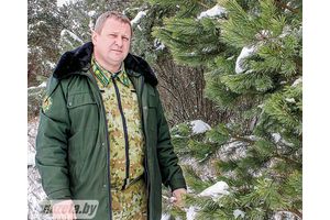 Цены на новогодние деревья остались на уровне прошлого года
