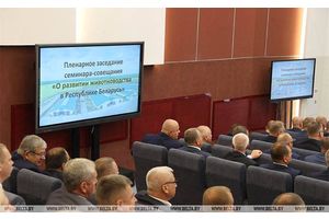 Минская область производит более четверти объемов продукции животноводства в стране