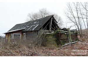 Лёс закінутых дамоў розны. Ці знос, ці другое жыццё (працяг)