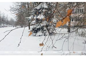 Небольшой снег и гололедица будут сегодня в Беларуси