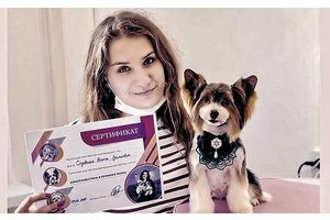 Грумер Вита Садовская: «Во время стрижки очень редко надеваю на собак намордник»