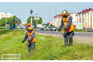 Есть вопросы по покосу травы