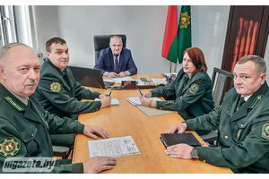 Заботимся о сохранении леса!