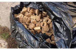 В Минской области будут разбрасывать приманки с вакциной от бешенства для животных