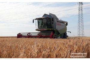 Уборачная кампанія -- на кантролі міліцыі