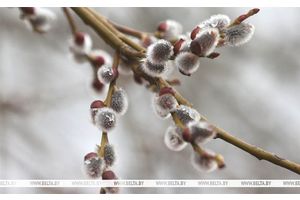 Без осадков и до +15°C будет в Беларуси 16 марта