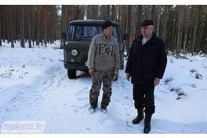 Как правильно заставить дерево «плакать»