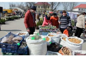 До 01.01.2023 можно не использовать кса при продаже продтоваров на рынках и ярмарках