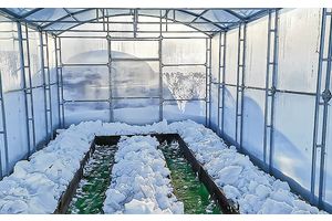 Сотка удачи. Полезные советы для садоводов и огородников