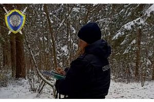 Перепутал с лосем: охотник застрелил товарища в Молодечненском районе