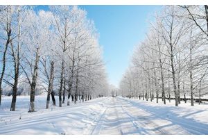 Как пережить зиму без ущерба для здоровья?