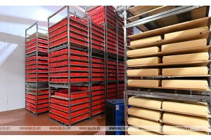 Беларусь расширяет географию поставок продовольствия. В какие страны возрос экспорт?