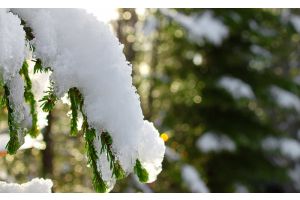 Местами слабые туман и гололед. Какой будет погода в Беларуси сегодня