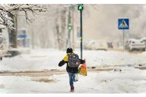 Внимание, пешеходы и водители!