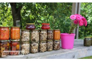 Придорожная торговля: свежесть или риск?