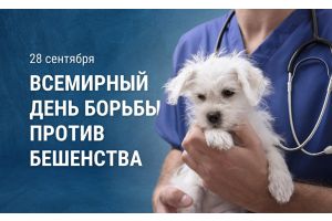 Защитите себя и окружающих от бешенства