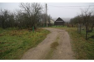 Эхо прошлого и пульс настоящего