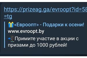 Пятьсот рублей за три клика?! От имени «Евроопта» снова промышляют мошенники