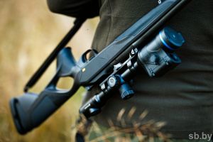 В Беларуси сезон охоты на гусей стартует 20 сентября