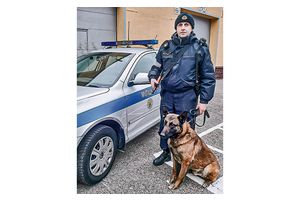 Найти, догнать и обезвредить преступников помогает Ирбис