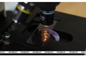 Уникальный белорусский биочип для аллергодиагностики проходит регистрационные испытания