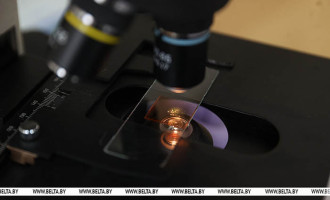 Уникальный белорусский биочип для аллергодиагностики проходит регистрационные испытания