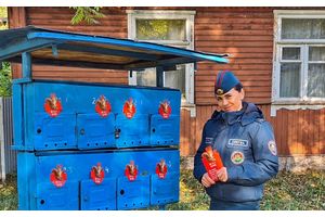 Рыжий зверёк призывает к безопасности!