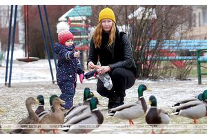 Изменены условия управления средствами семейного капитала, предусмотренные указом №572